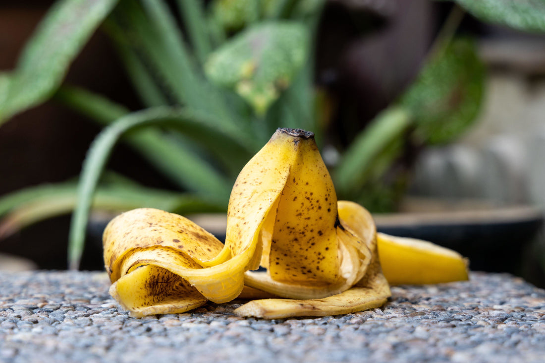 Skórka banana – czy naprawdę warto ją zachować?